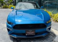 2021 Ford Mustang (Pre-Owned Unregistered)